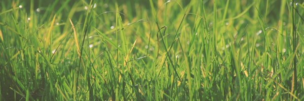 1_danib Profile Banner