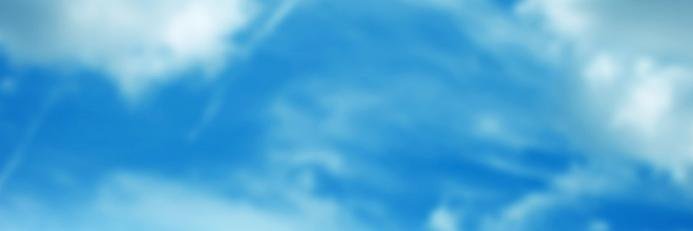 rakinfish's profile banner image