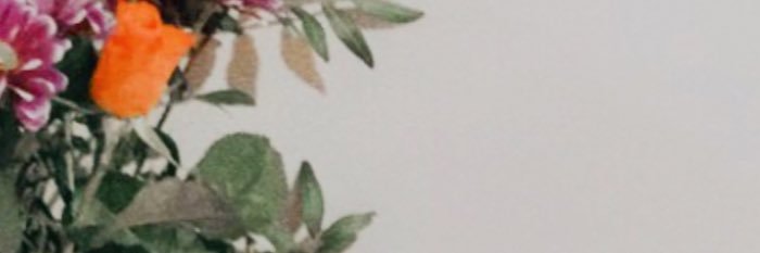 troyesdisney's profile banner image