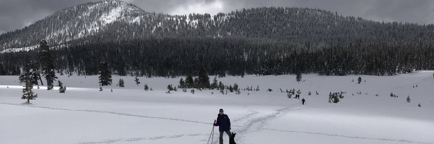 colleensmiley's profile banner image