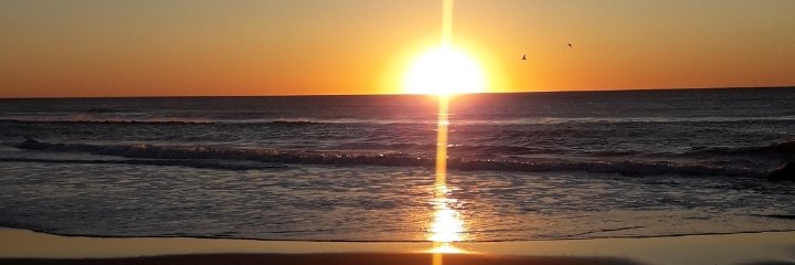RomyVega's profile banner image