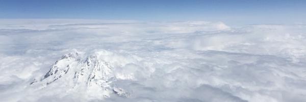 davidpwu Profile Banner