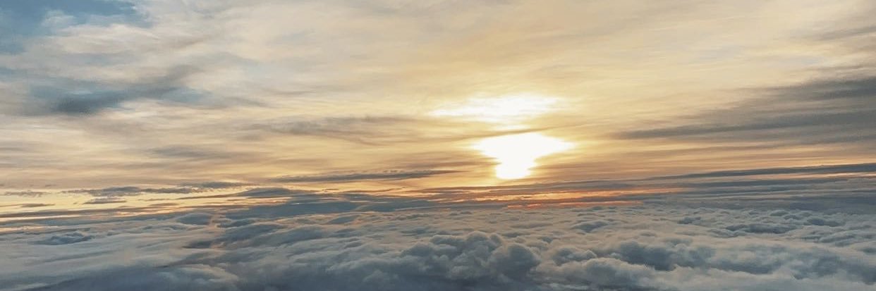 🌻🥀🌻🥀 banner