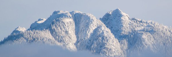 timstringer Profile Banner