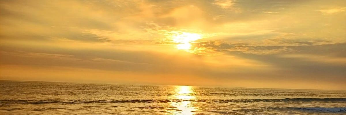 sw_tyc's profile banner image