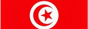 tonssi banner