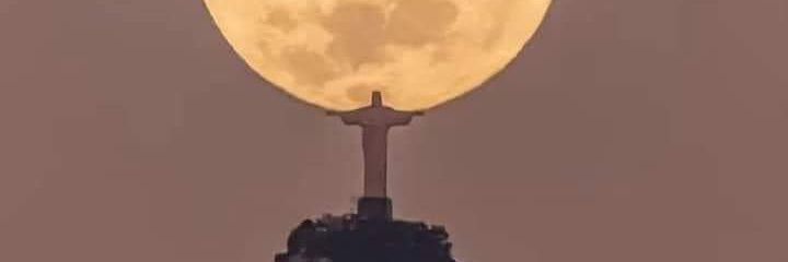 Dazed & Confused banner