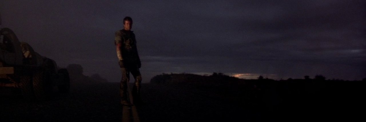 Noble Swan 🦢 banner