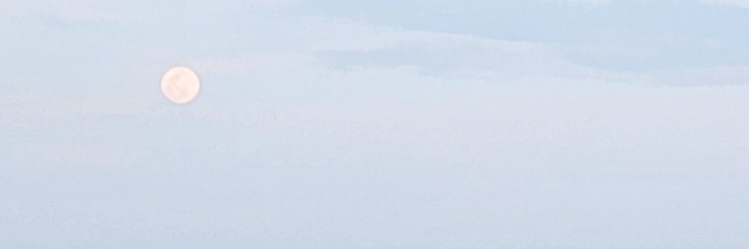 cicitkr's profile banner image