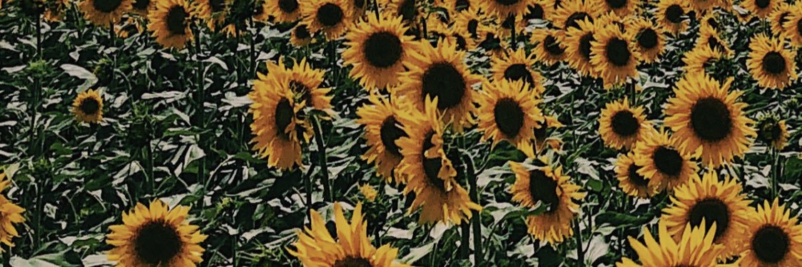 mamystal's profile banner image