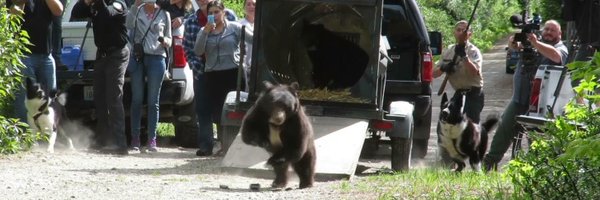 stevekigginstv Profile Banner