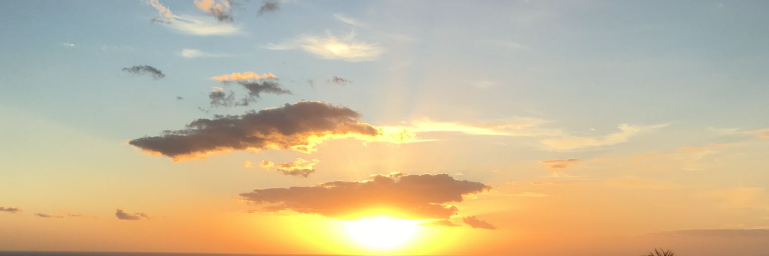 theresas100's profile banner image