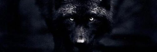 TheSatoShib's profile banner image