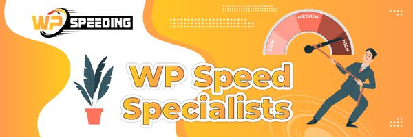 wpspeeding21471 Profile Banner