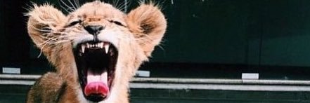 BHS_AT's profile banner image
