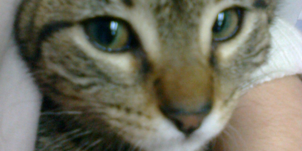 xaimen64's profile banner image