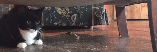 snazel Profile Banner