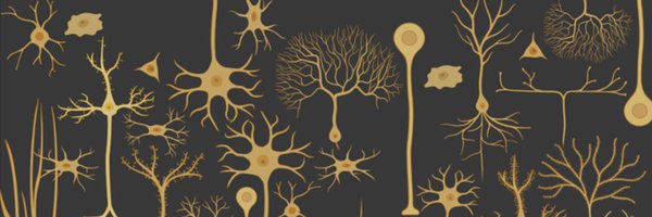 RoyNgLab Profile Banner