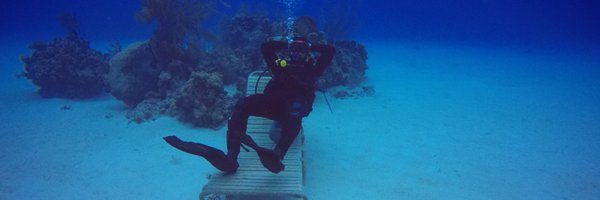 biscuitbenny0 Profile Banner