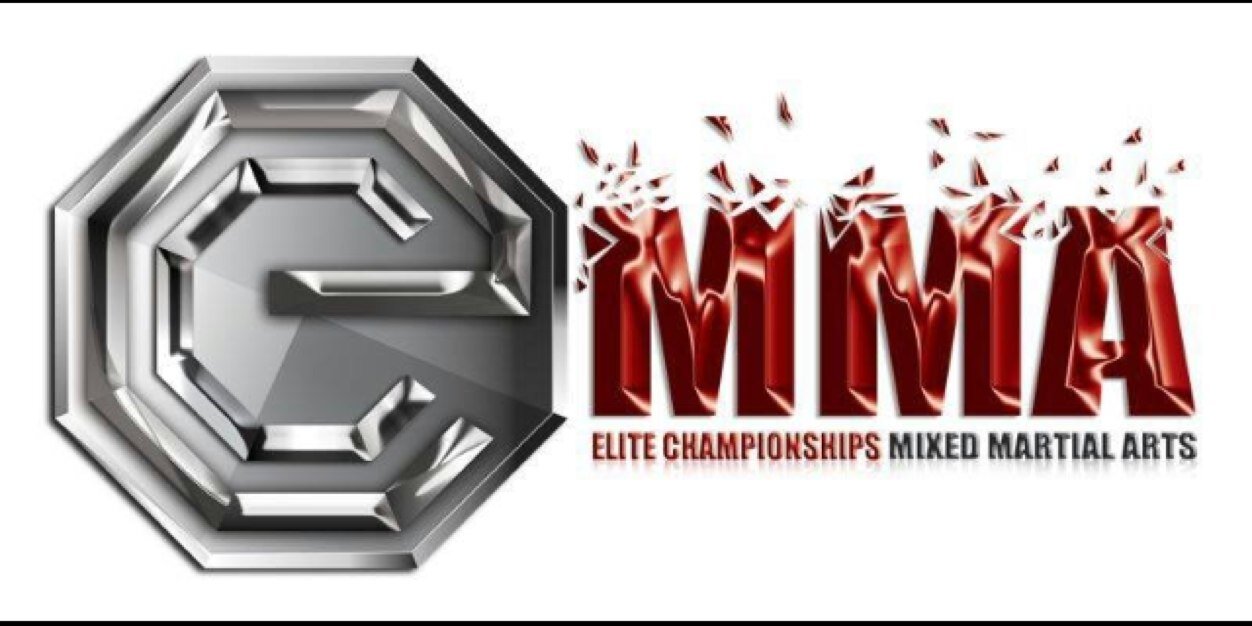 Elite Championship banner