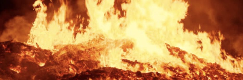 eternal groyper 🇺🇸 banner