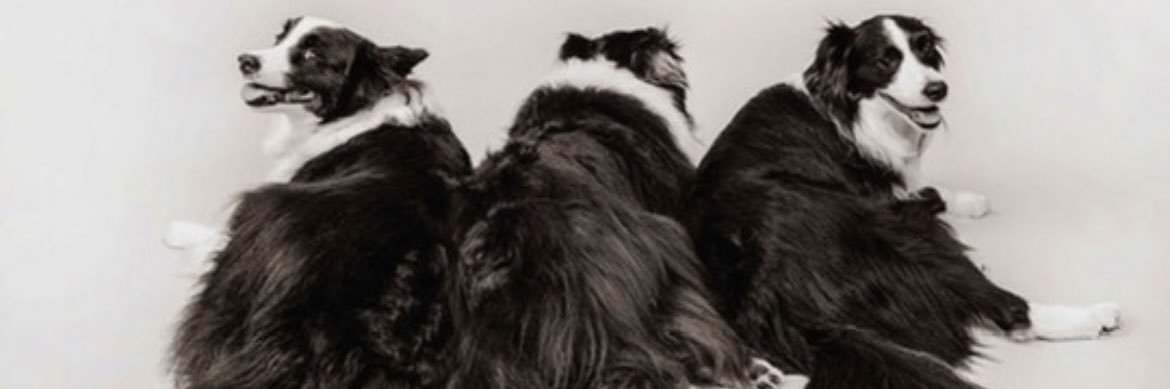 pututrans's profile banner image