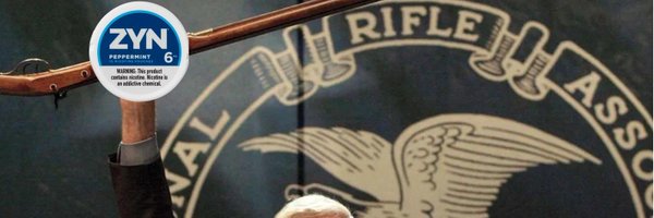 TinVikings Profile Banner