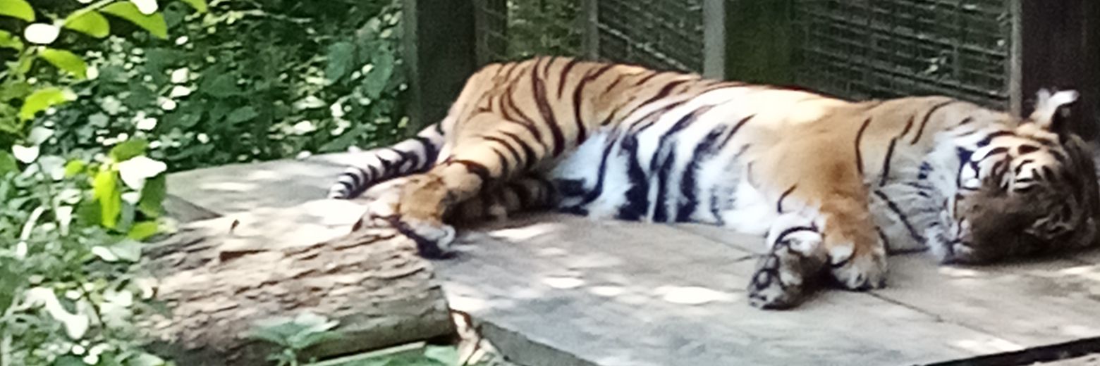 private🏴󠁧󠁢󠁳󠁣󠁴󠁿 banner