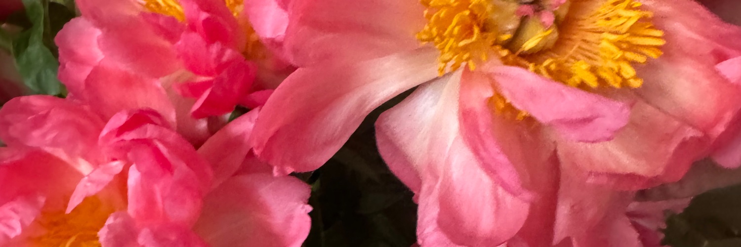 smithnyla's profile banner image