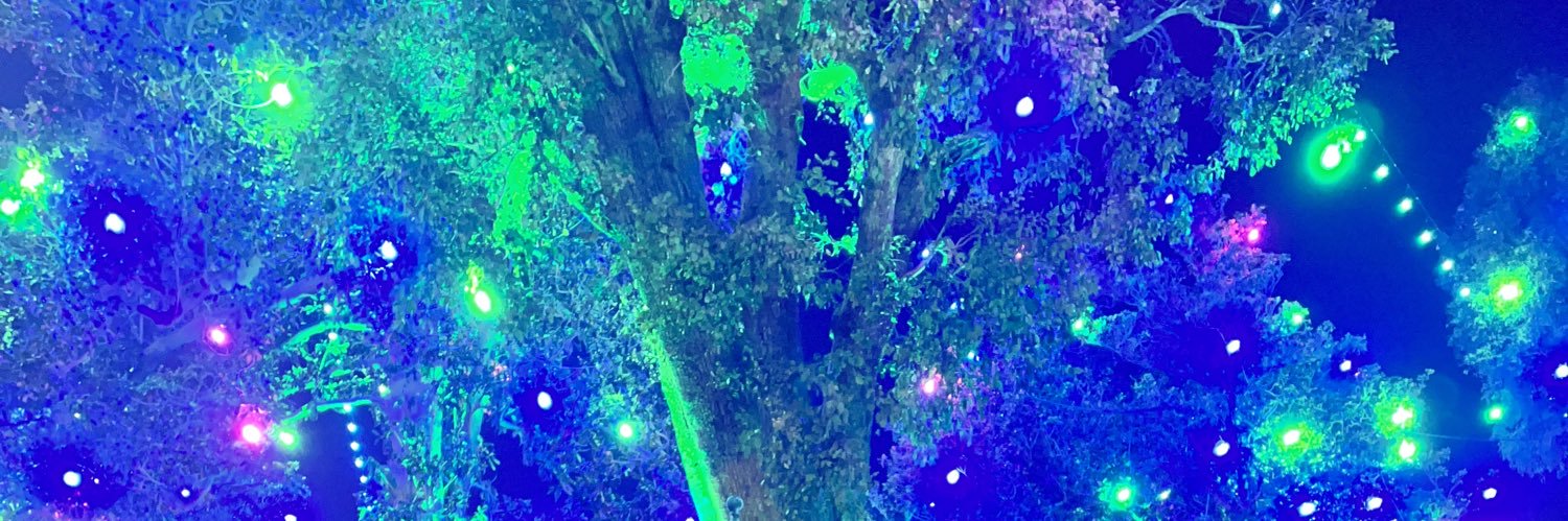 iris_foo's profile banner image
