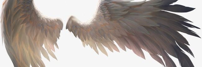 ooo banner