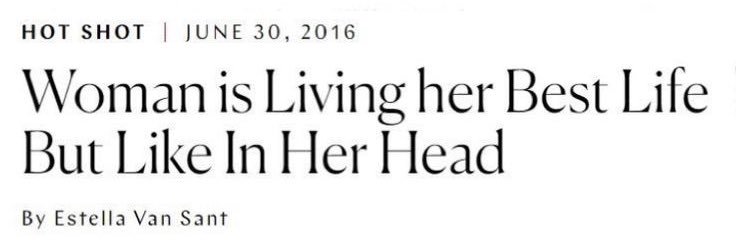 berry leamonade banner