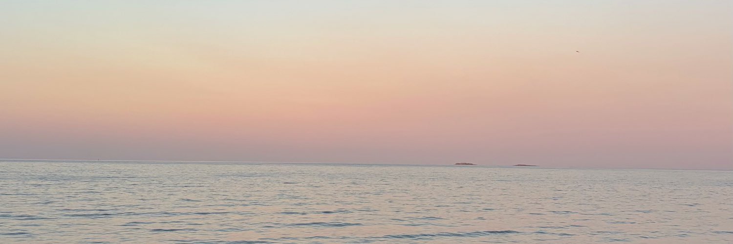 stacey banner