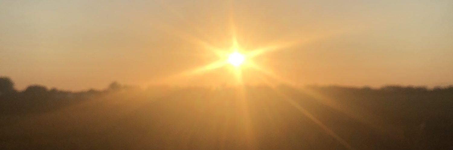 P3NVR's profile banner image