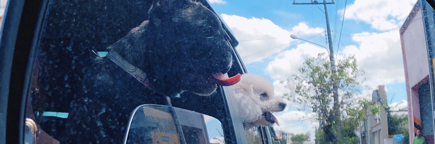 caminf17's profile banner image