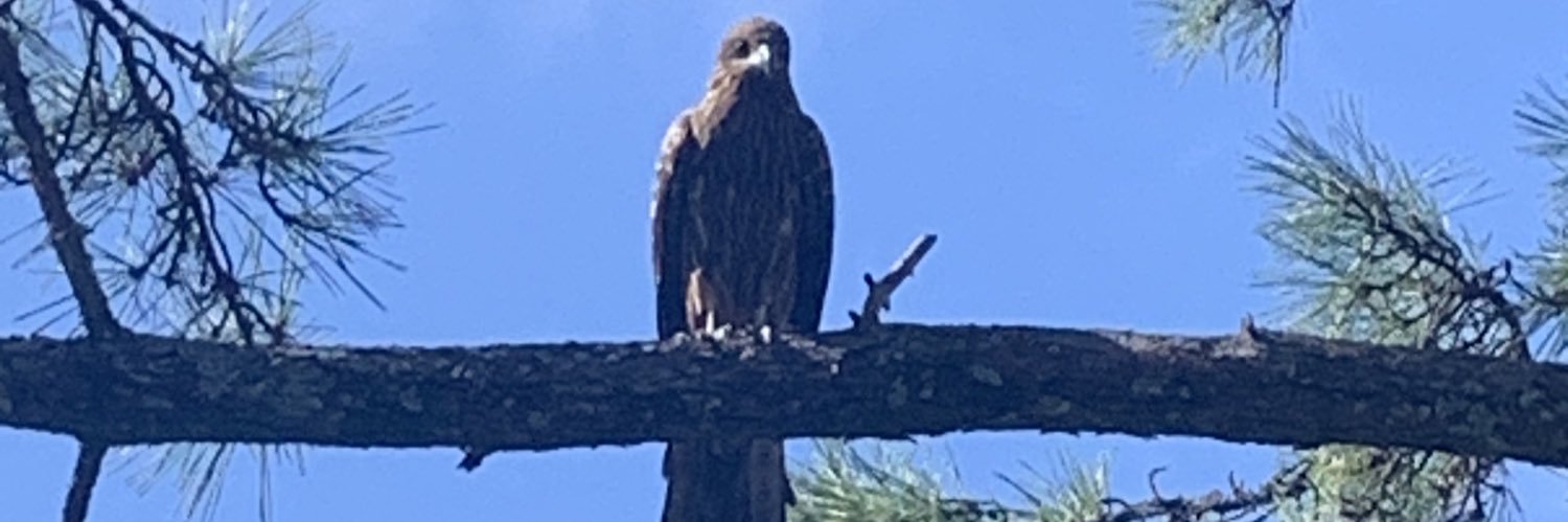 じゃぱないの！ banner