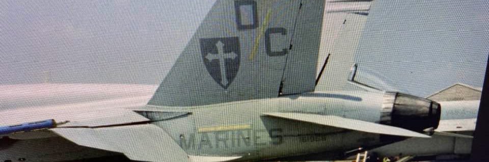 Sgt. Pureblood Marine's banner