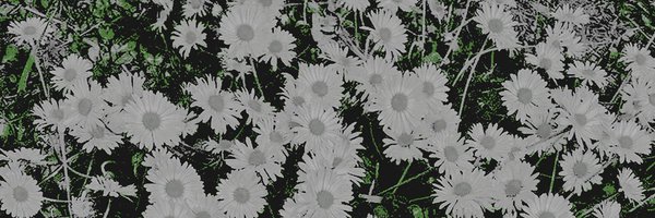 noxumbris Profile Banner