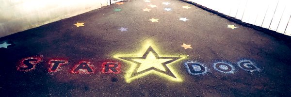 stardogchar Profile Banner