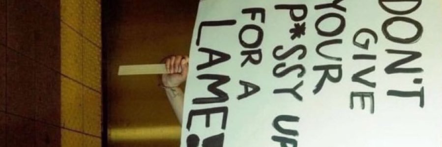 ana banner