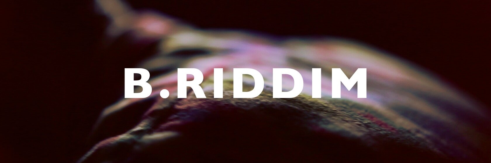 briddim's profile banner image
