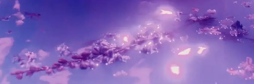swiftwildflower's profile banner image