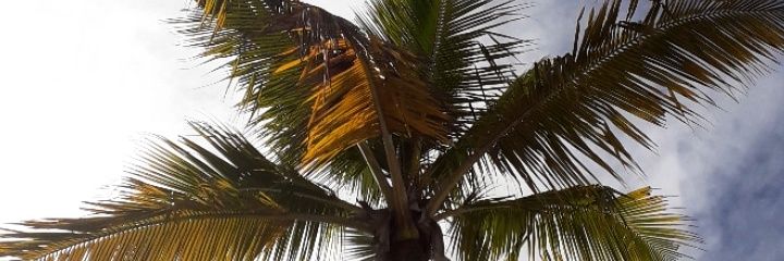 _CamilaSimoes's profile banner image