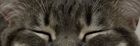 Sagi🌑 banner