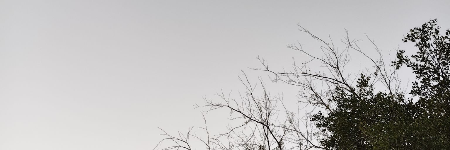 🌾_CanibeyourTonkhaw?_🪻 banner