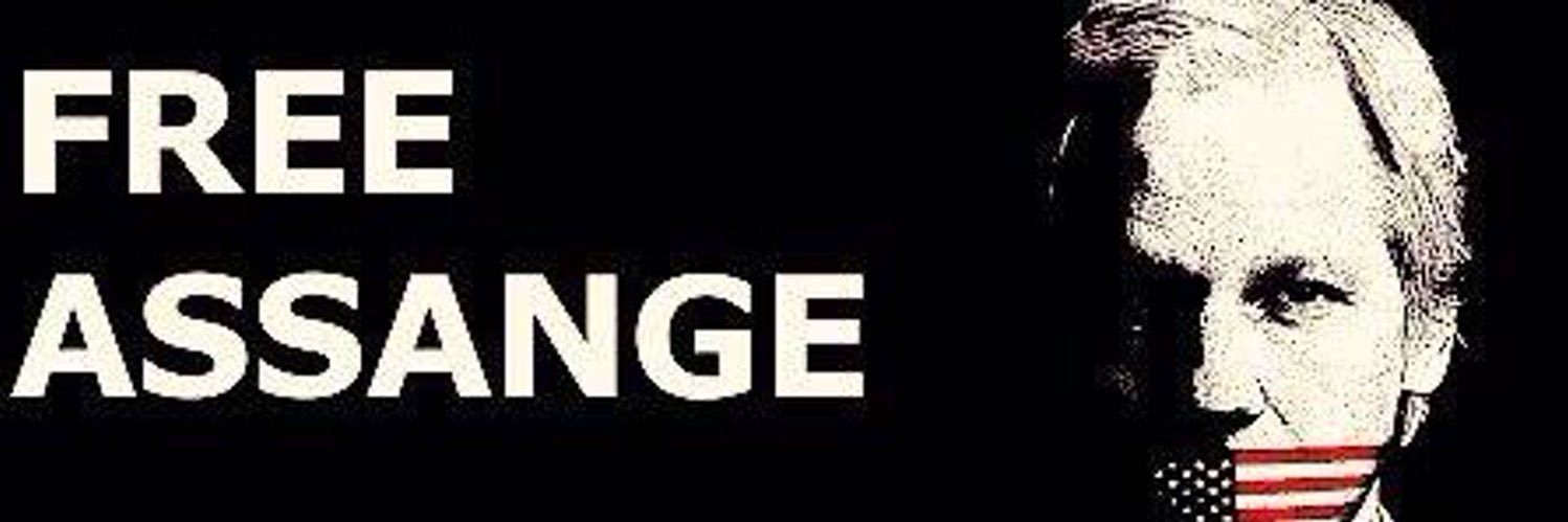 Brittany Farrell banner