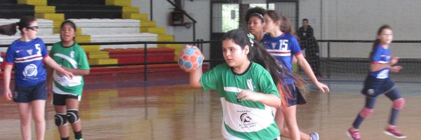 LTChandball Profile Banner