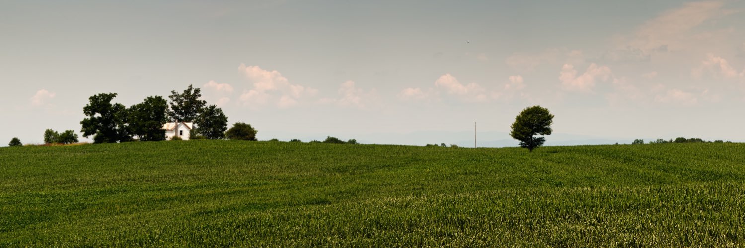 robertdonovan's profile banner image