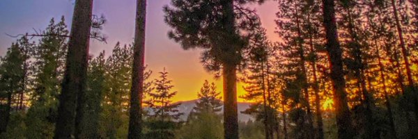 FeroeGast Profile Banner