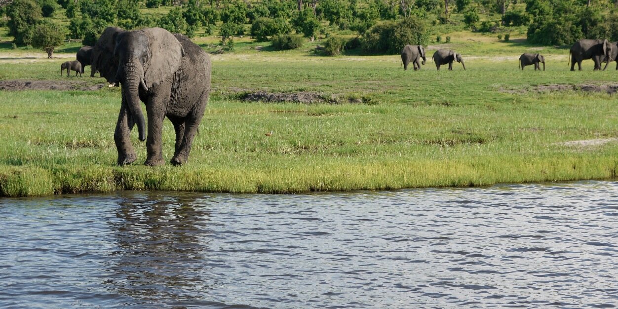 Leanne Niblock banner